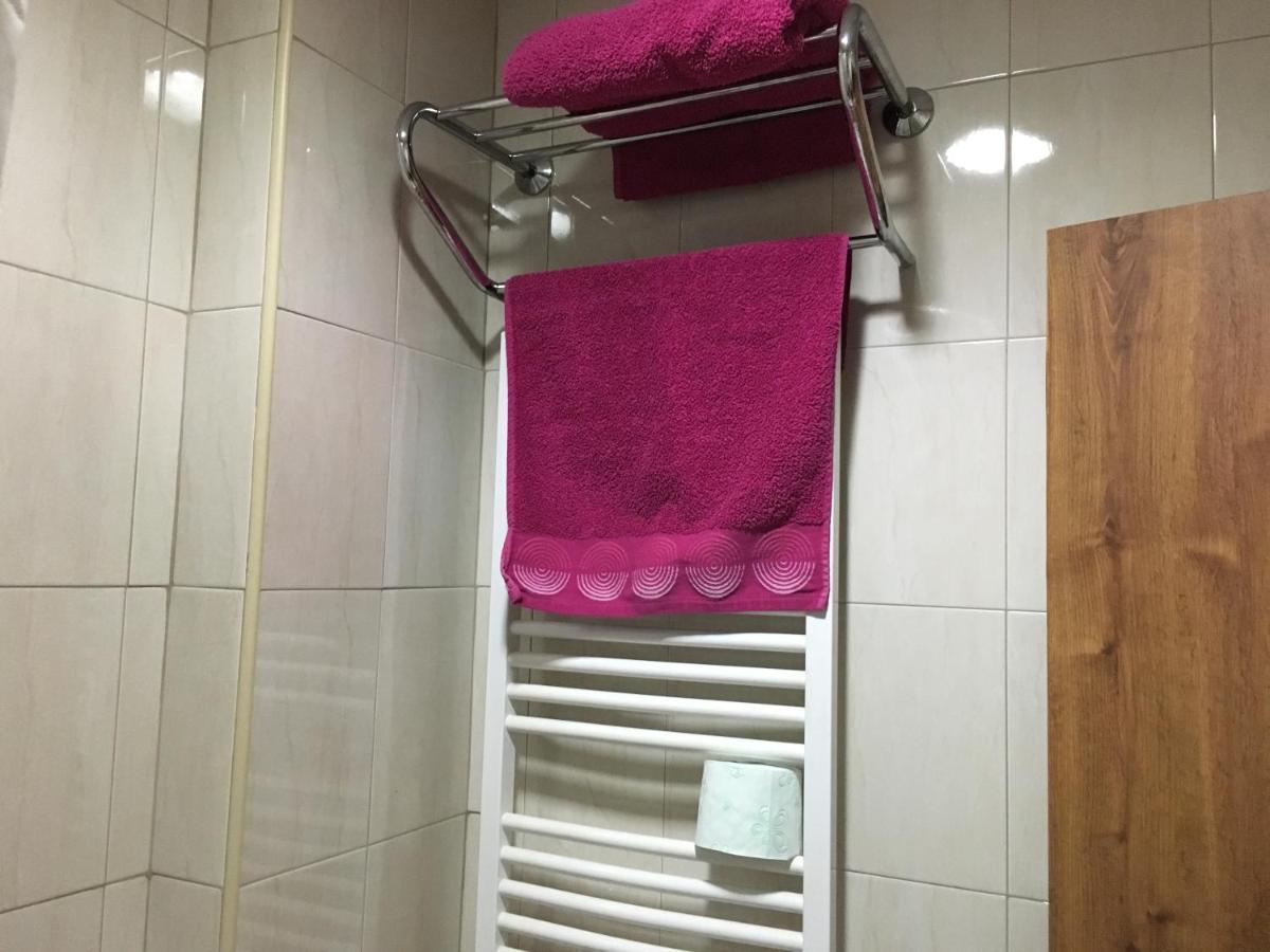 Danubian Hotel Vidin Bagian luar foto