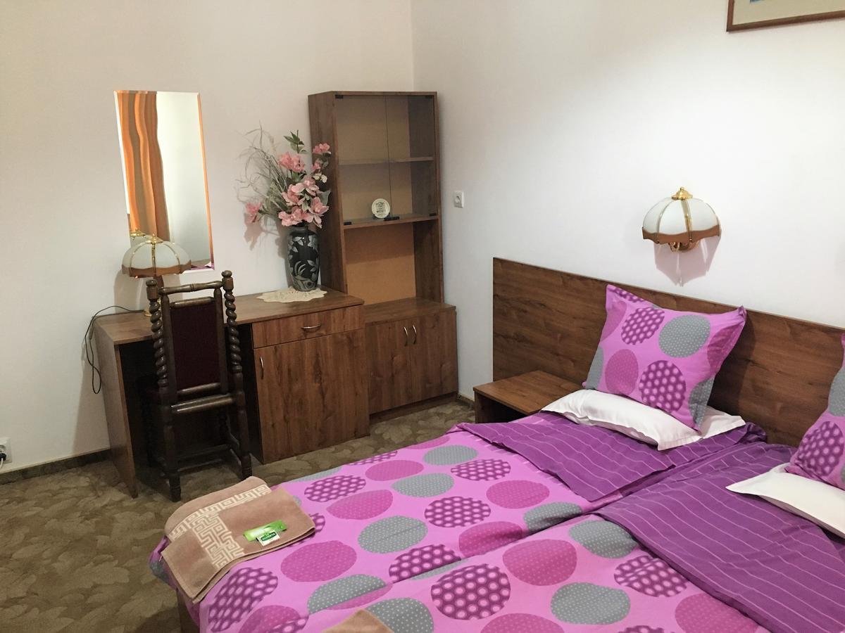 Danubian Hotel Vidin Bagian luar foto